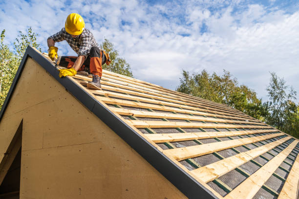 Best Roof Gutter Cleaning  in Towson, MD